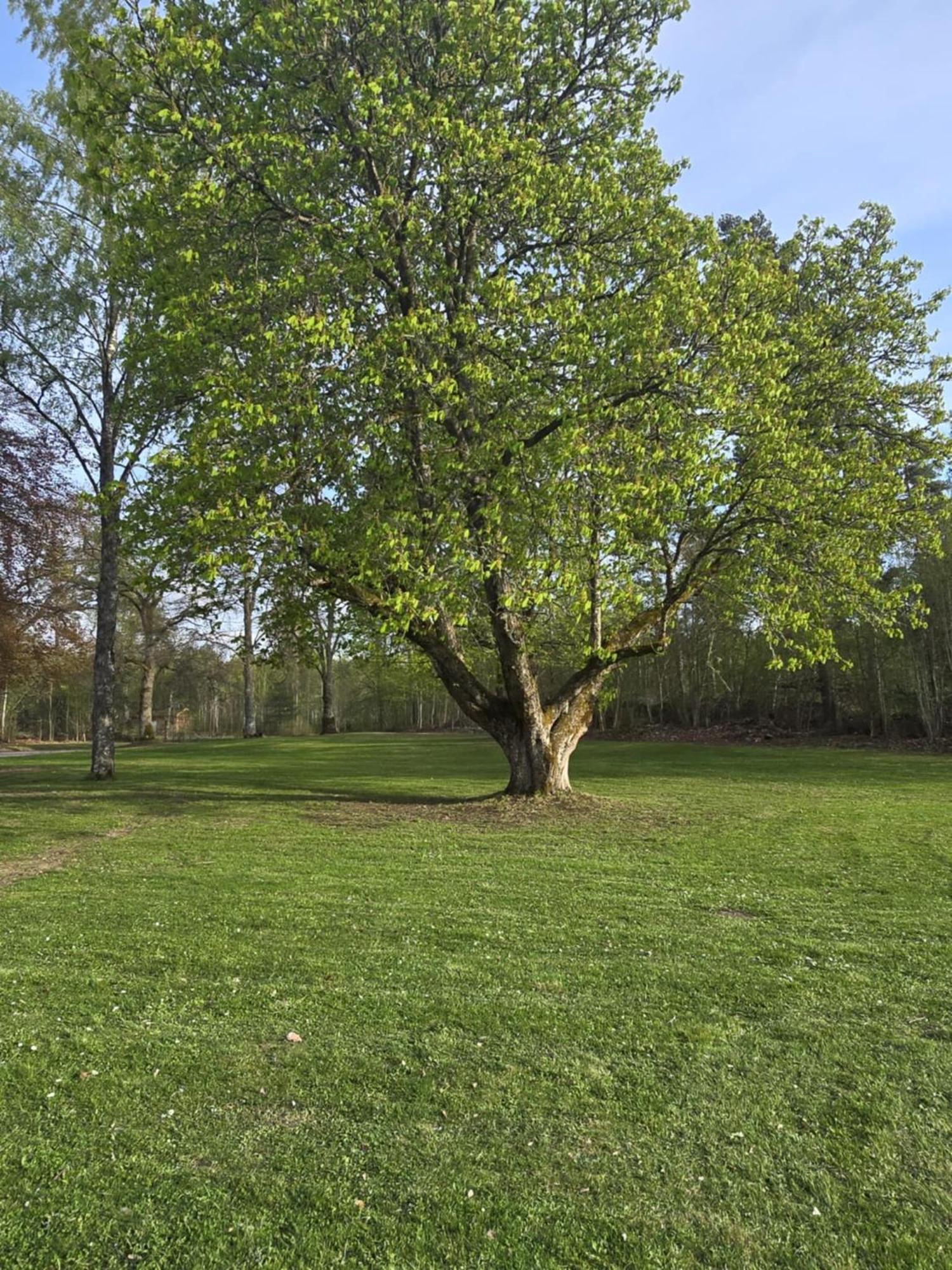 Stora Ekeberg Vandrarhem Axvall Exterior foto